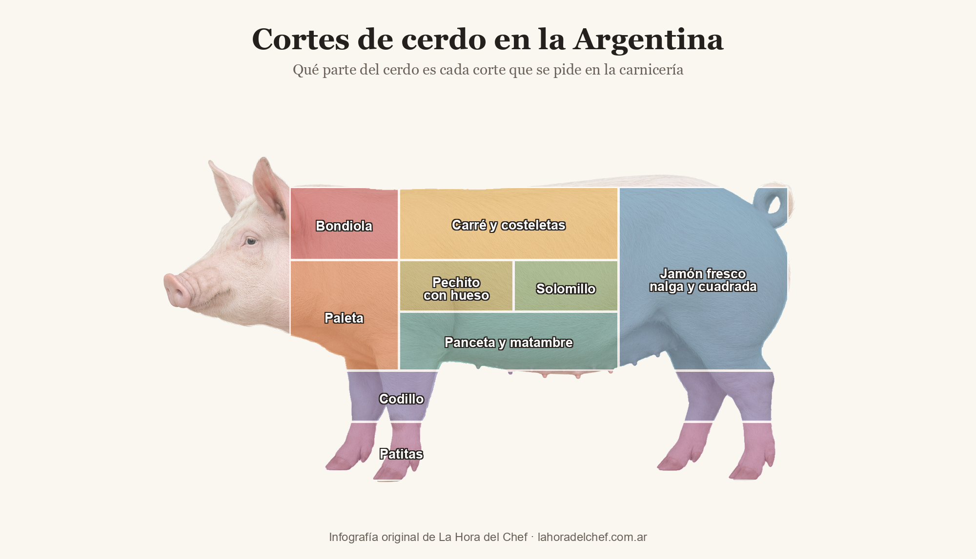 Cortes de cerdo en la Argentina: infografía que muestra de qué parte del cerdo sale cada corte