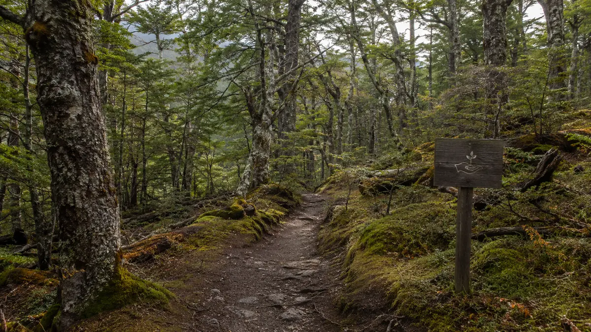 Sendero boscoso del Parque Nacional Tierra del Fuego