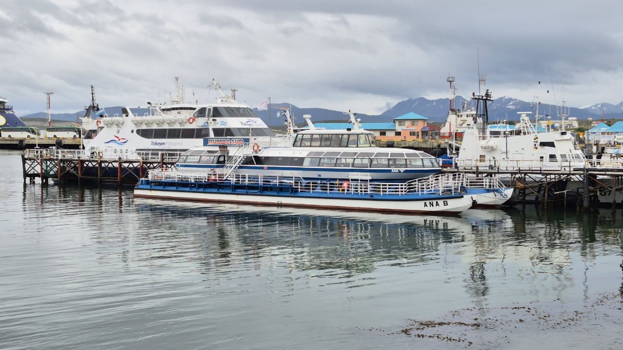 Brisighelli criticó que ANPYN investigue a las empresas de catamaranes por el muelle deteriorado