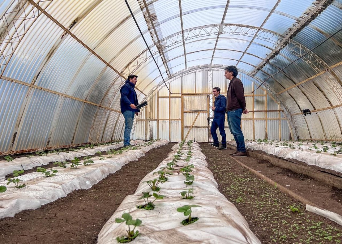 Municipio y Río Grande Activa firman acuerdo para potenciar la Chacra Agroexperimental